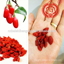 Goji berry dried fruit china supplier in ningxia